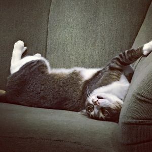 Meet your Posher, Christina